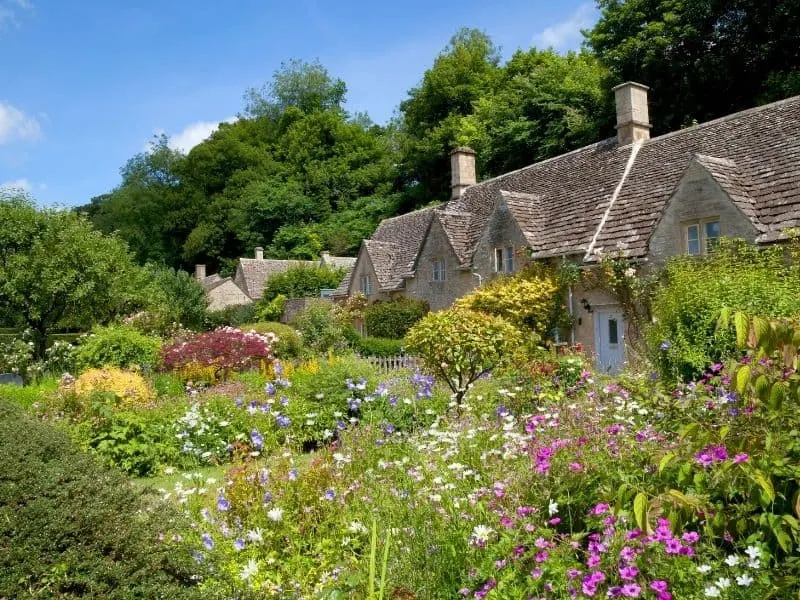 a charming cottage garden