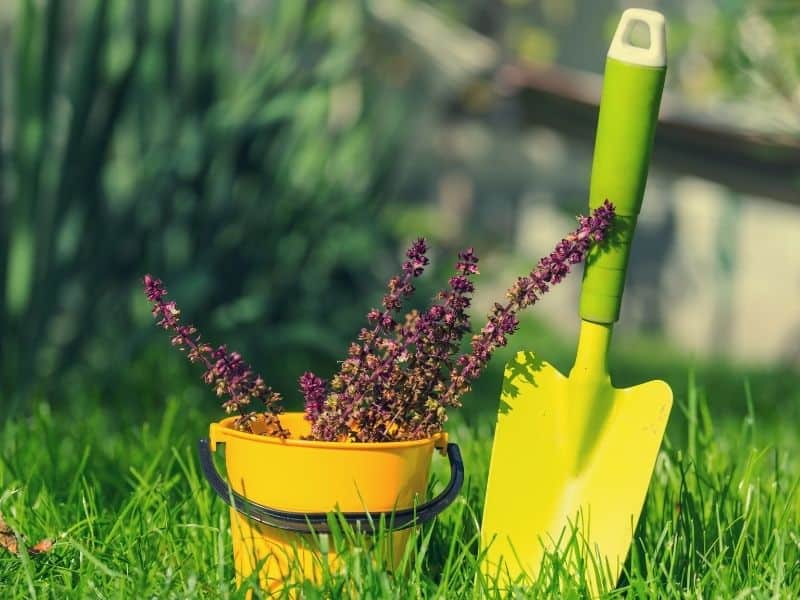 Bucket and shovel with ergonomic grip