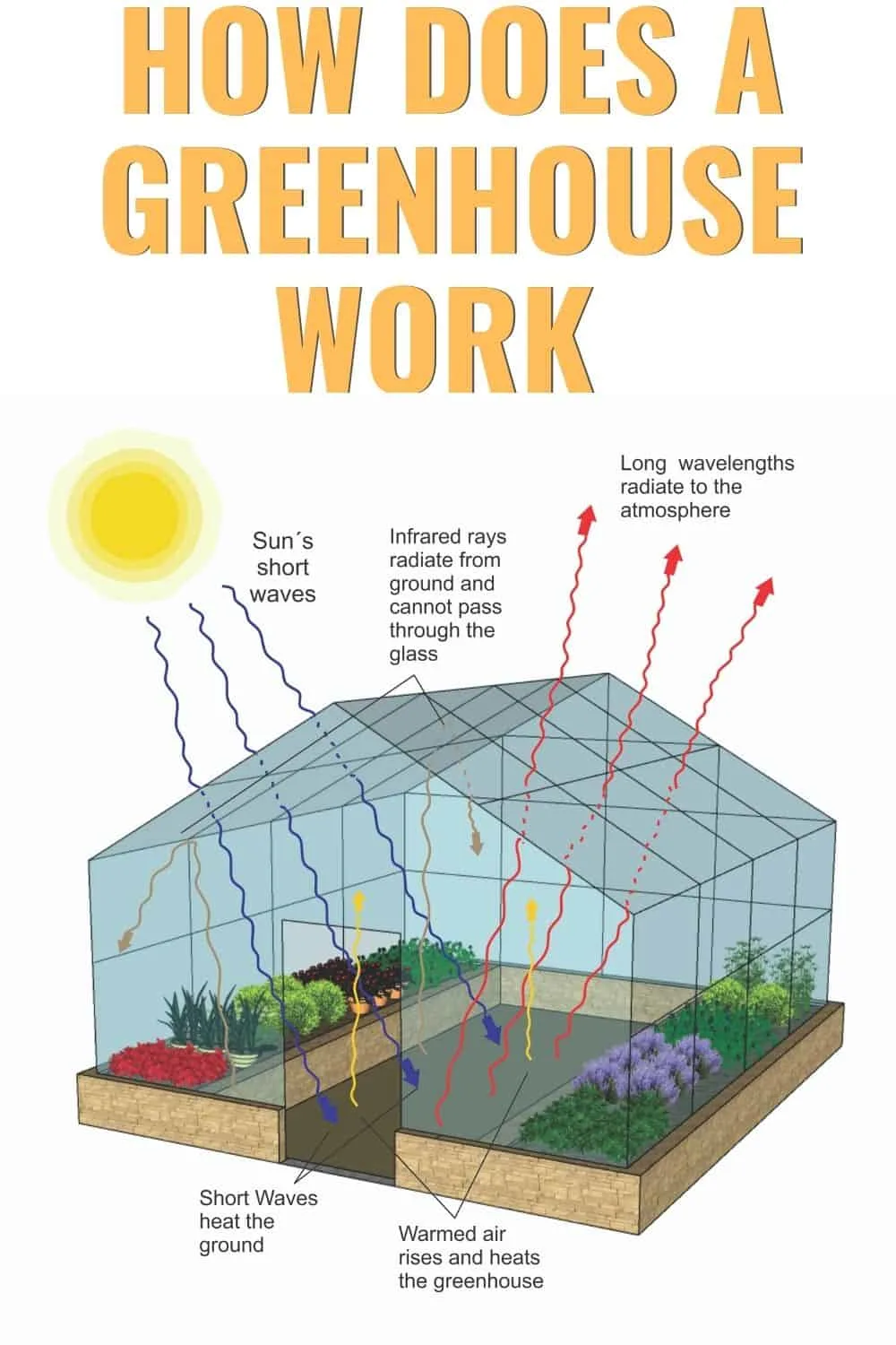 How does a greenhouse work