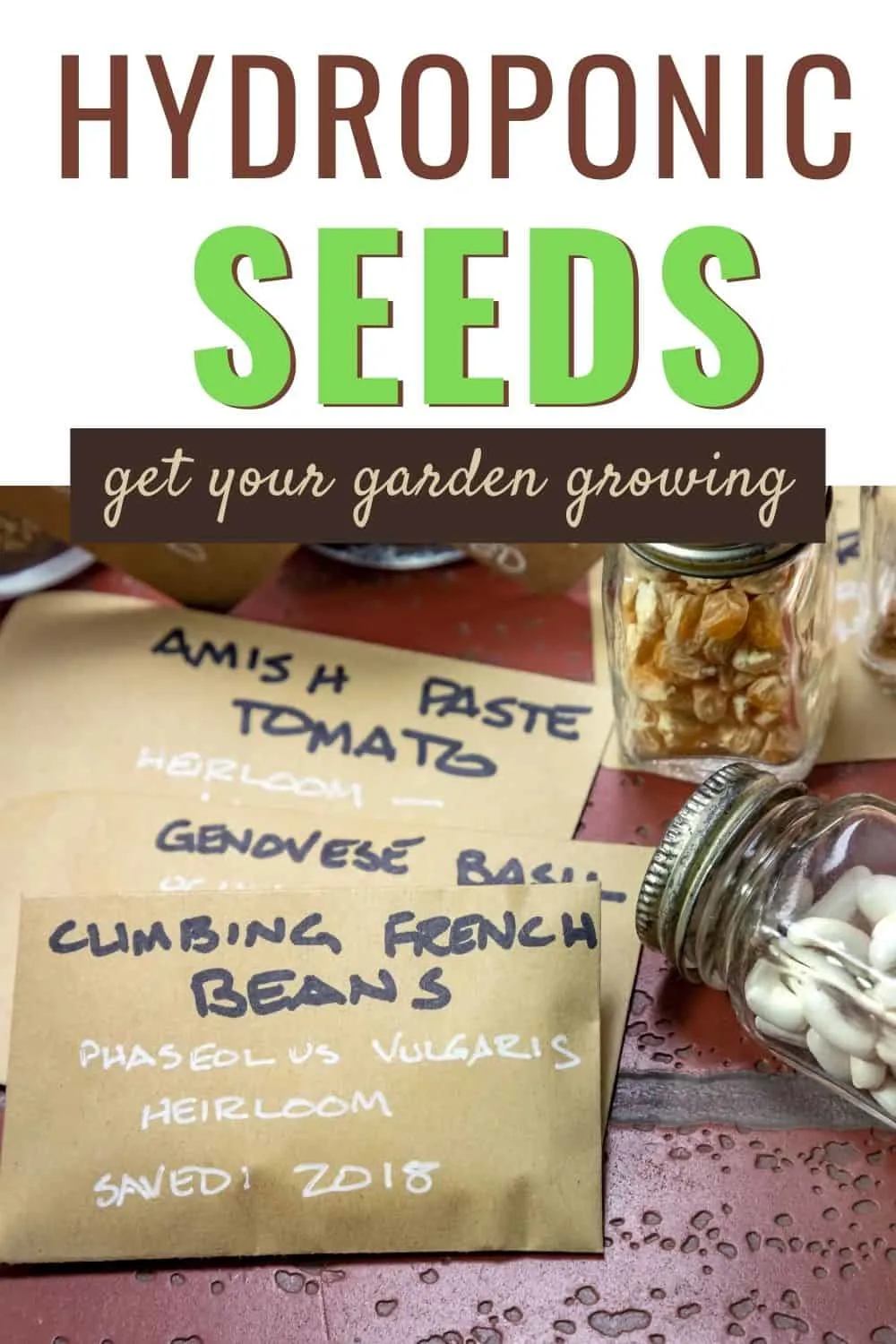 Hydroponic seeds to get your garden going