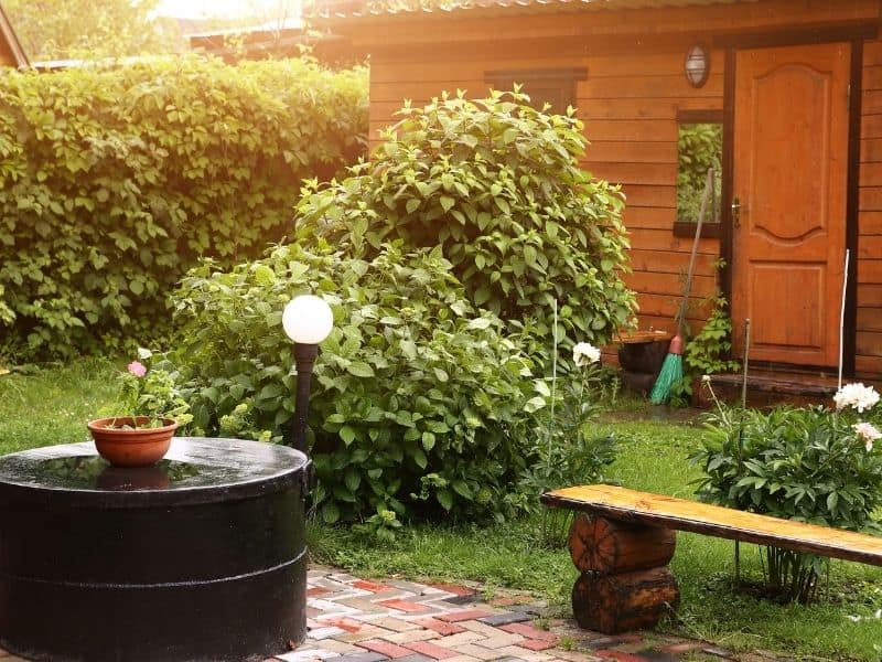 A rustic bench in front of the shed