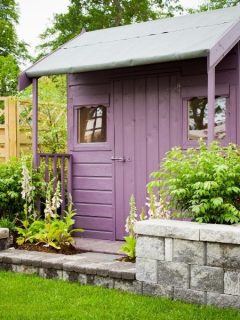 Small purple shed surrounded by lush vegetation
