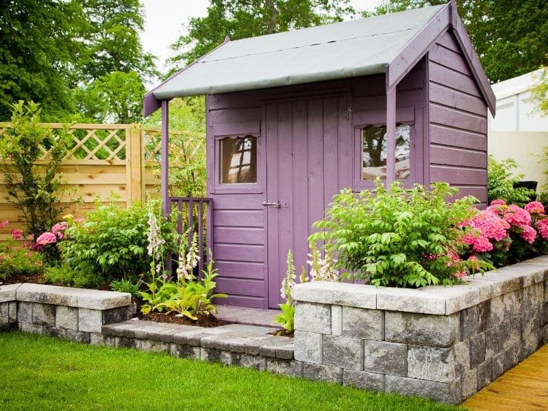 Small purple shed surrounded by lush vegetation