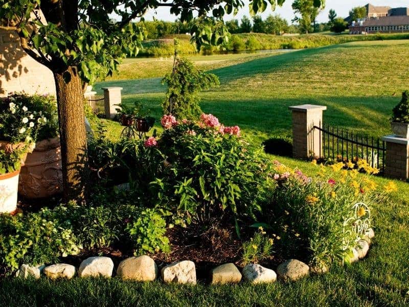 Stone edging around a tree