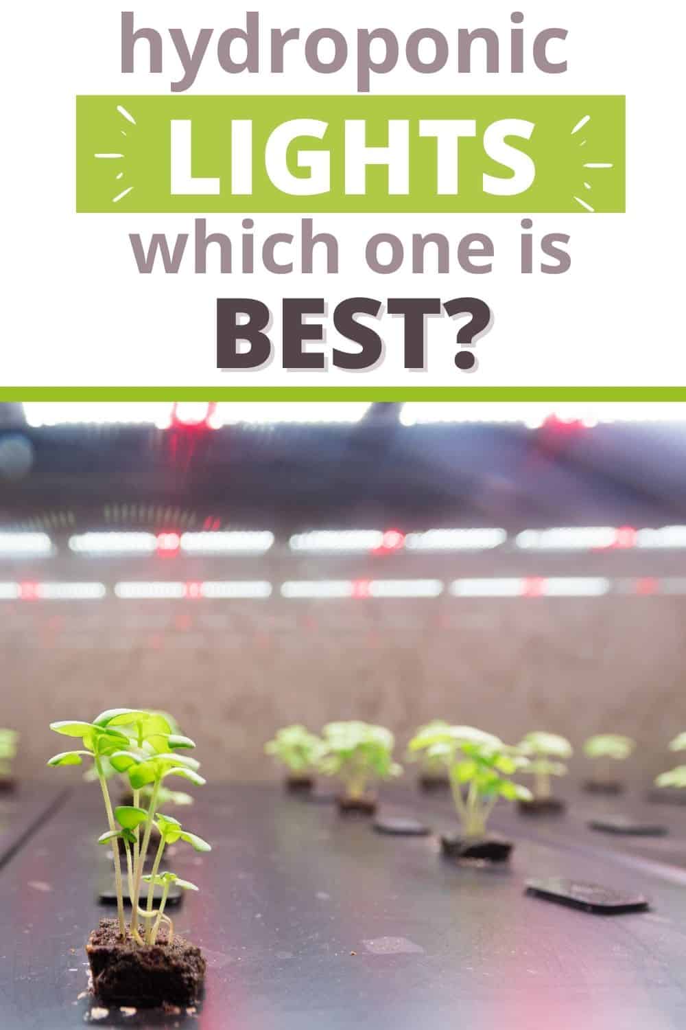 Which hydroponic lights are best? 