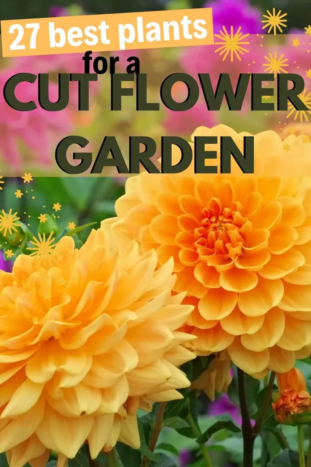 27 best plants for a cut flower garden