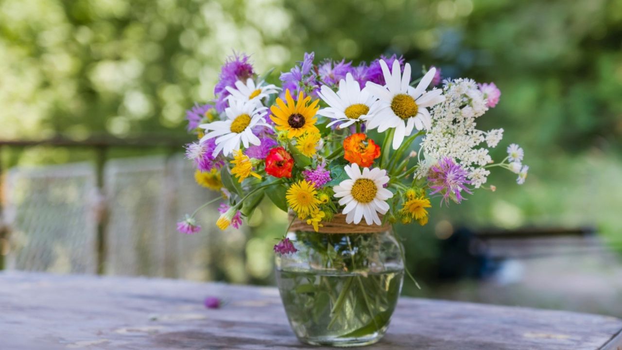 Beautiful Wild Summer Flowers in a Small Vase