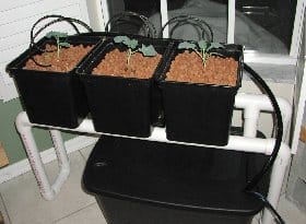  3-bucket top drip mini farm