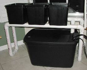 buckets on drain line