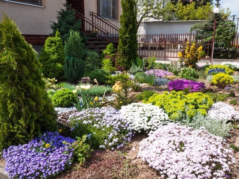 colorful flowers in the front yard