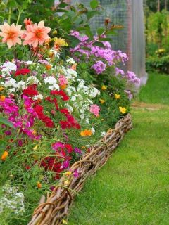 Grass alley next to a colorful flower bed