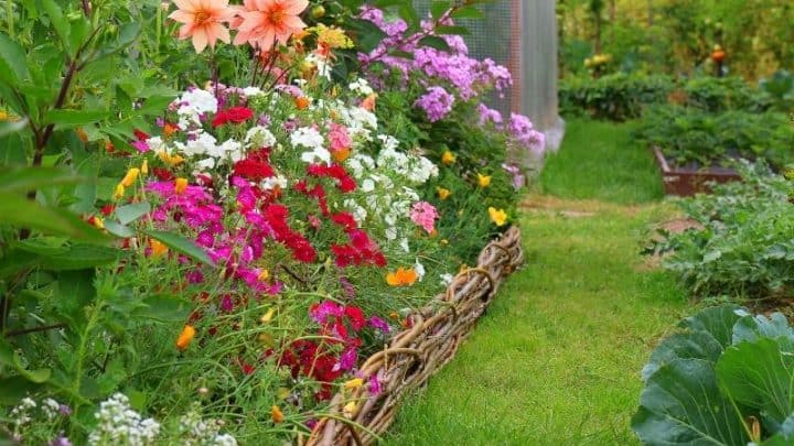 Beautiful Flower Garden Ideas