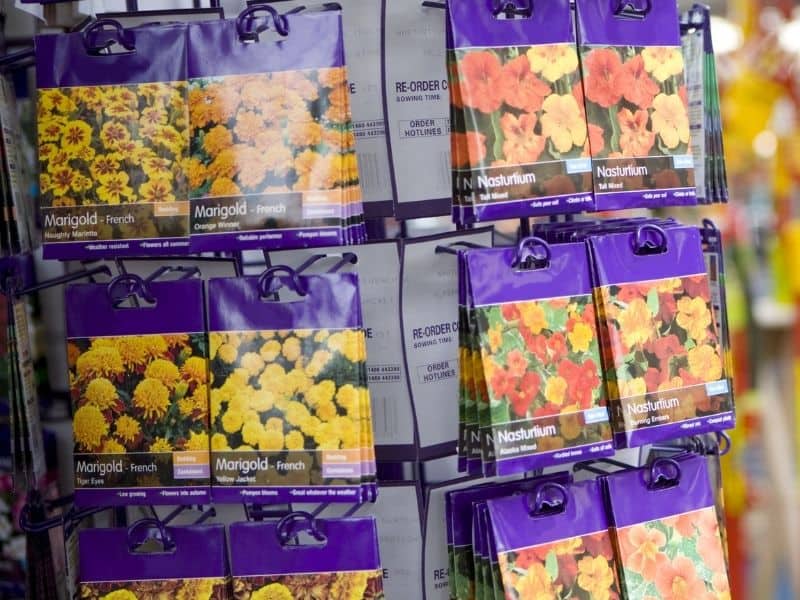 store display of flower seed packets