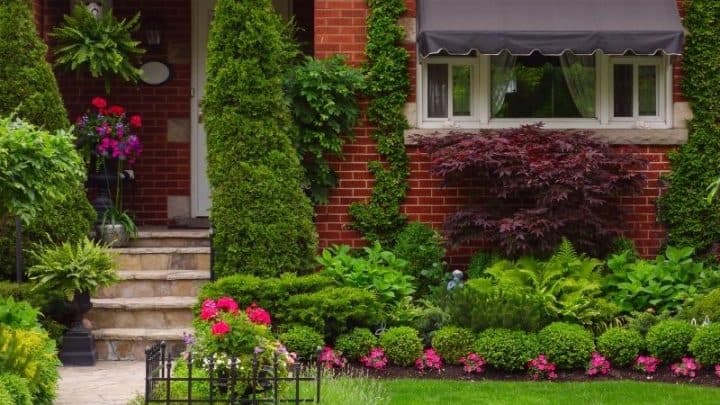 How Much Does It Cost to Landscape A Front Yard?