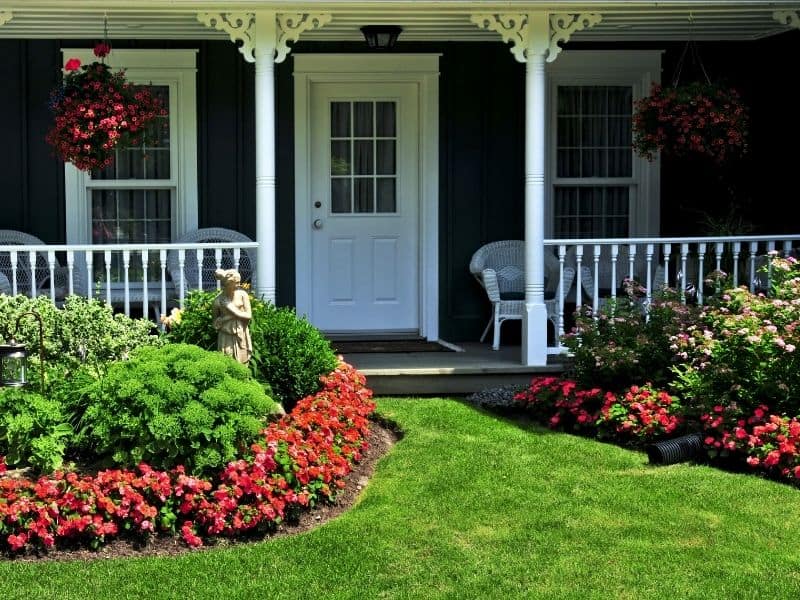 front yard lanscape with bushes and red flowers