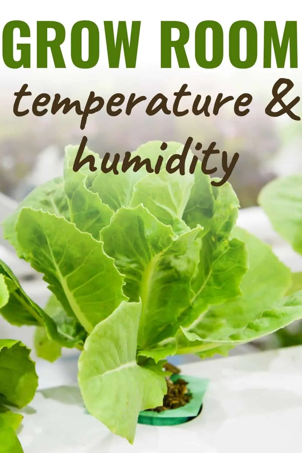 Grow room temperature and humidity