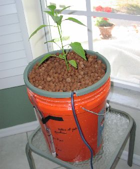 Mini bucket bubbler