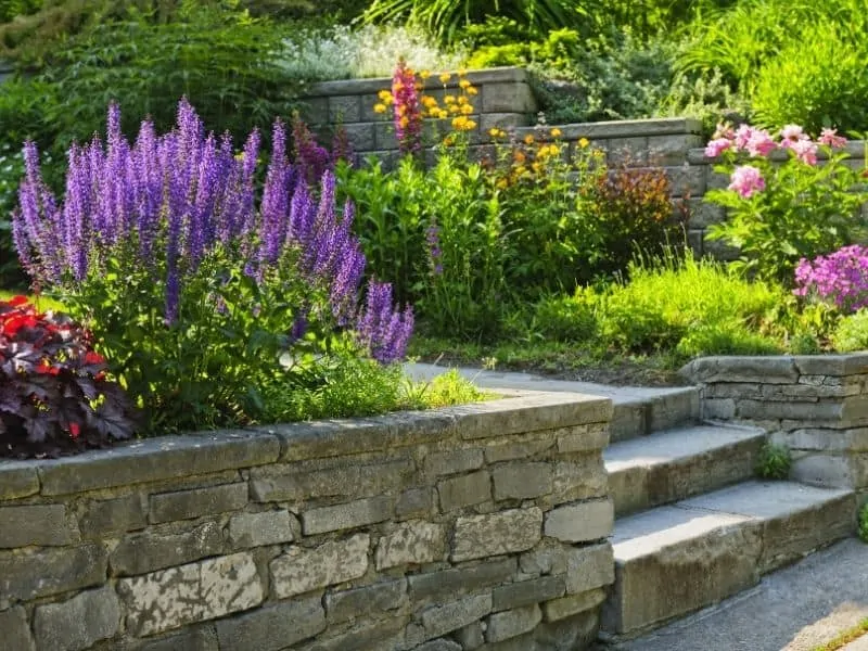 rock wall and stairs surrounded by colorful flowers