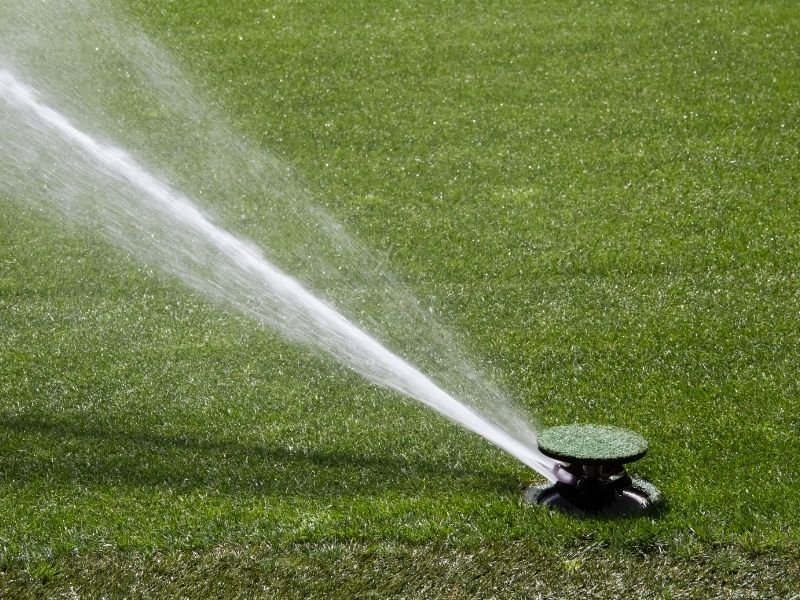 sprinkler watering lawn