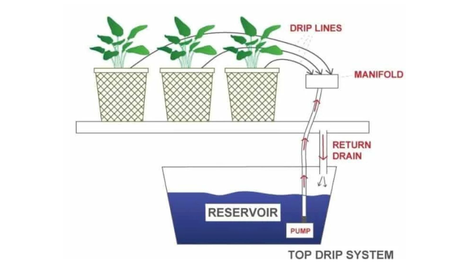 top drip hydroponic system diagram.