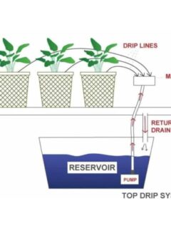 top drip hydroponic system diagram.