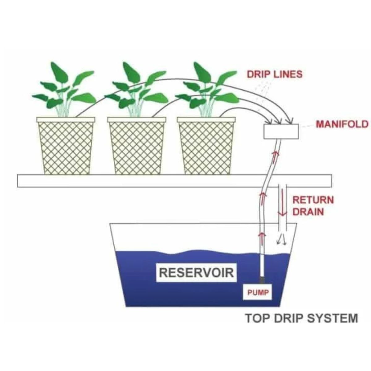 top drip hydroponic system diagram.