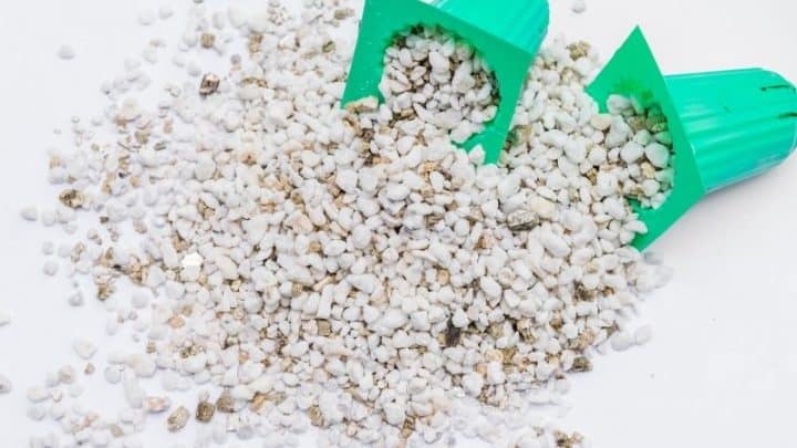 Best Hydroponic Growing Medium For Your Garden