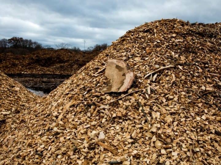 Cheap Landscaping Ideas For The Front Yard On A Budget