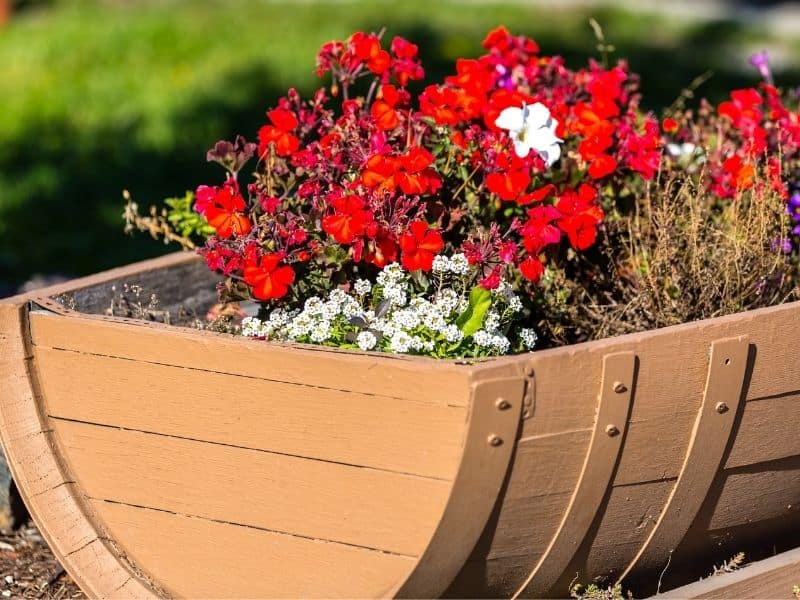 wooden barrel planter