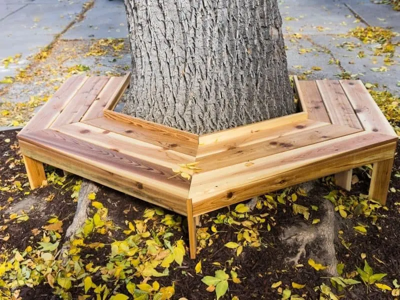 a wooden bench built around a tree