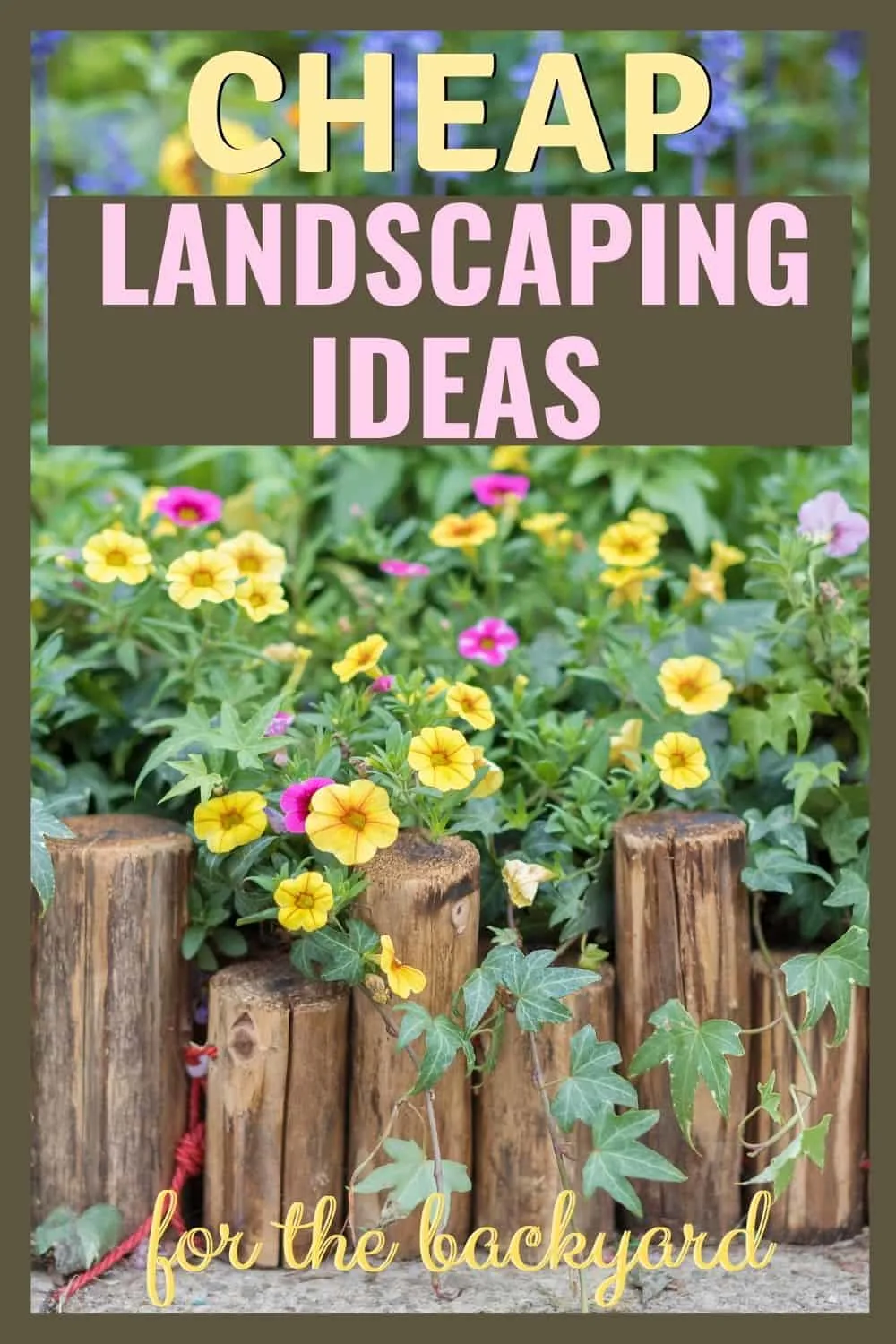 Cheap landscaping ideas for the backyard