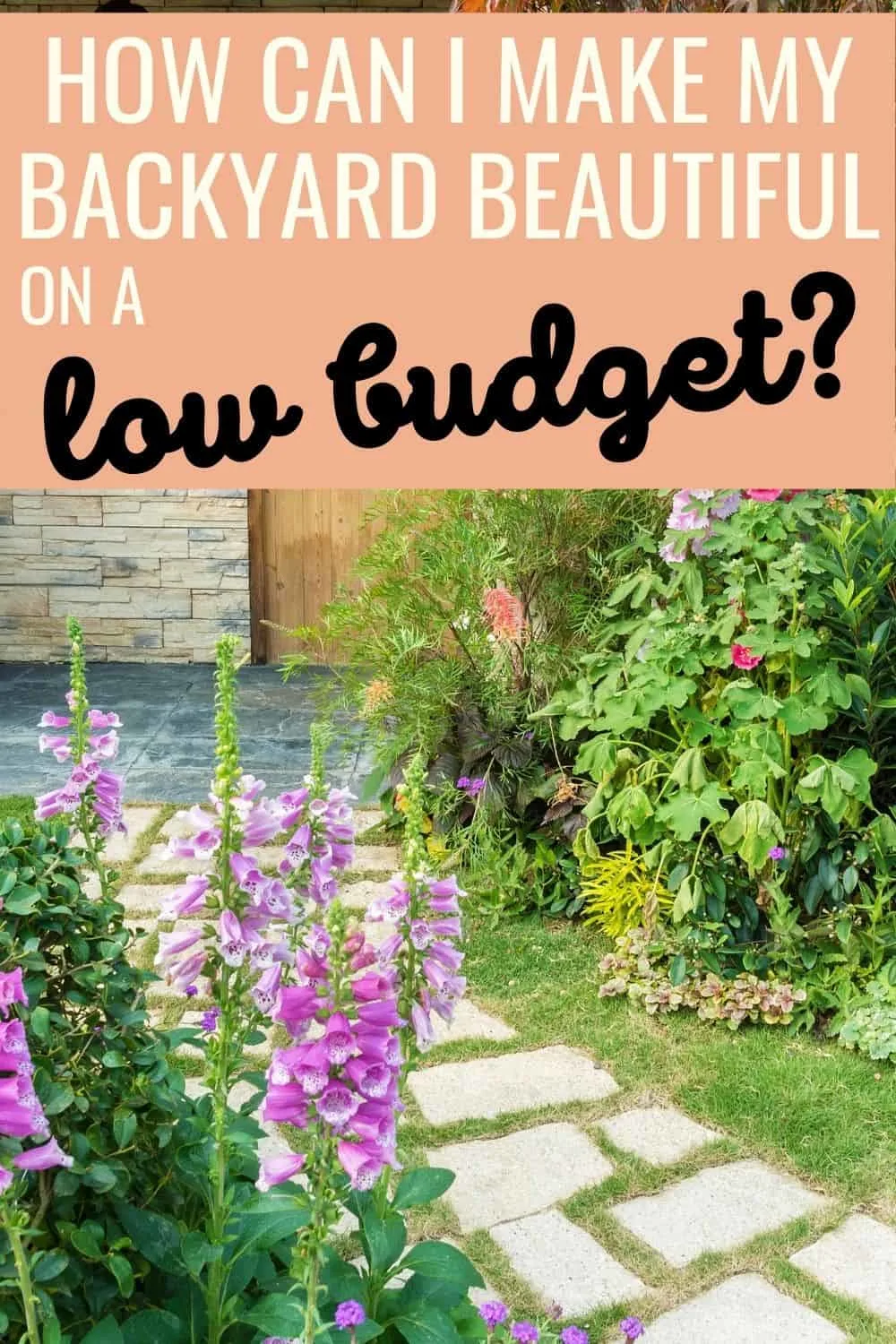 How can I make my backyard beautiful on a low budget