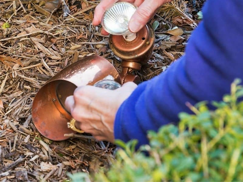 man adding a landscape light