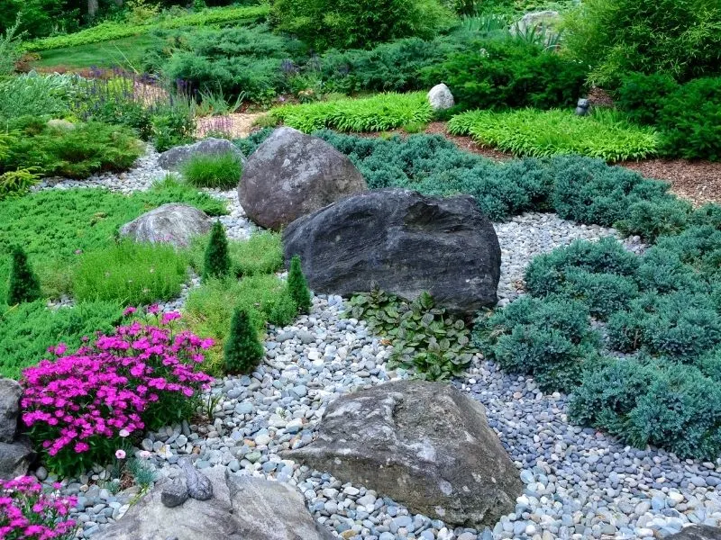 rock garden landscape