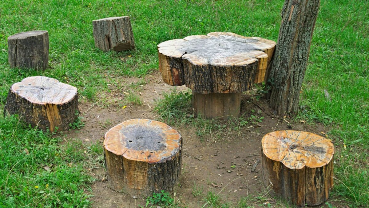 Seating area in the backyard is made from tree stumps.