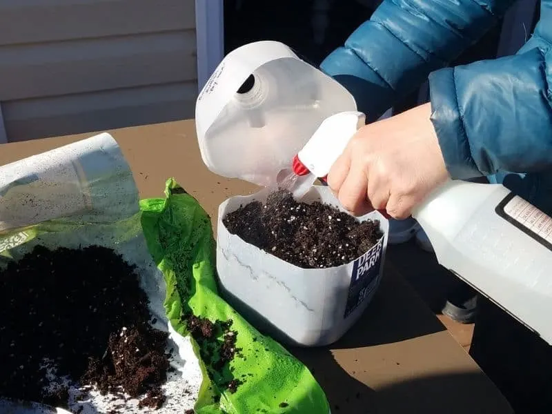 moisturizing the soil in my water containers