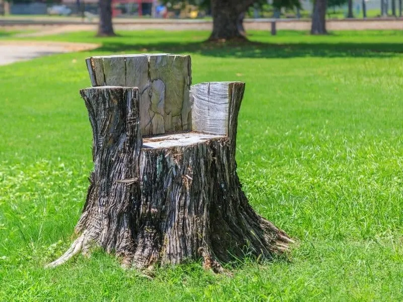 outdoor seating made from a tree stump