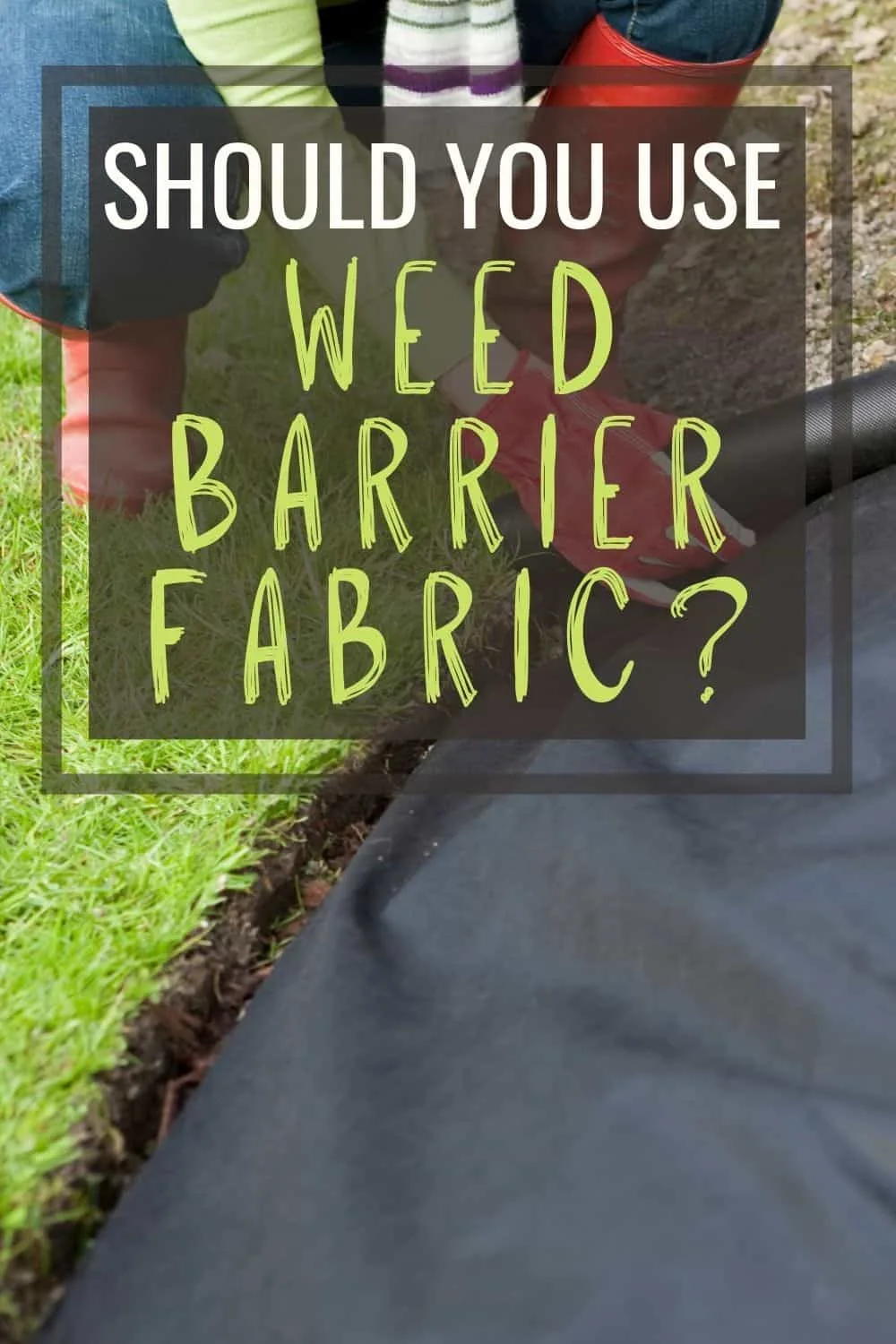 Should you use weed barrier fabric?