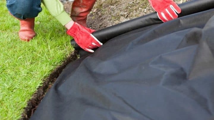 Best Weed Barrier Fabric – Tips for Selection and Use