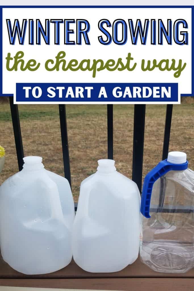 What Is Winter Sowing? A Simple Guide To JumpStart Your Seed Planting