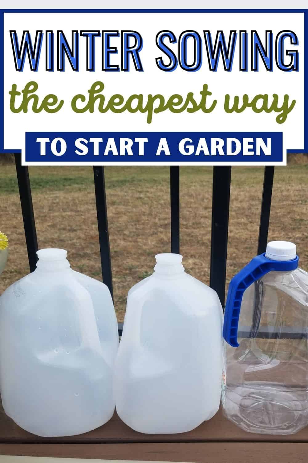 Winter sowing - the cheapest way to start a garden