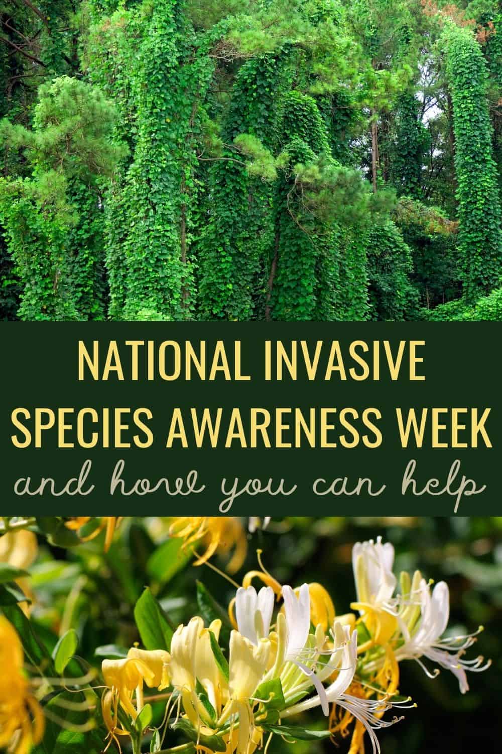 What Is National Invasive Species Awareness Week?