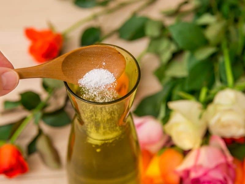 adding flower food to the vase