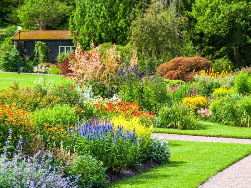 beautifully manicured front yard landscape