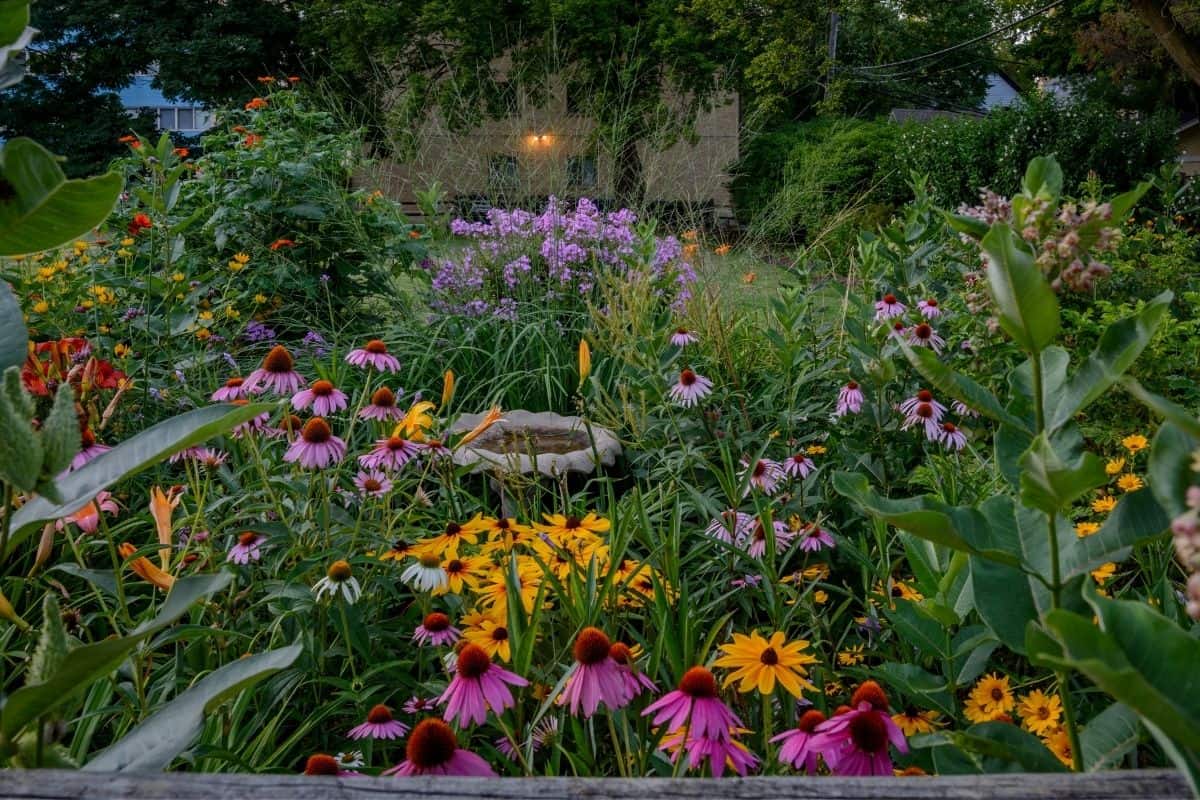 beautiful perennial garden