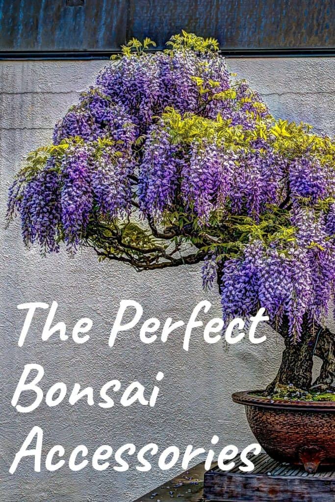 The Perfect Bonsai Accessories For Your Bonsai Tree
