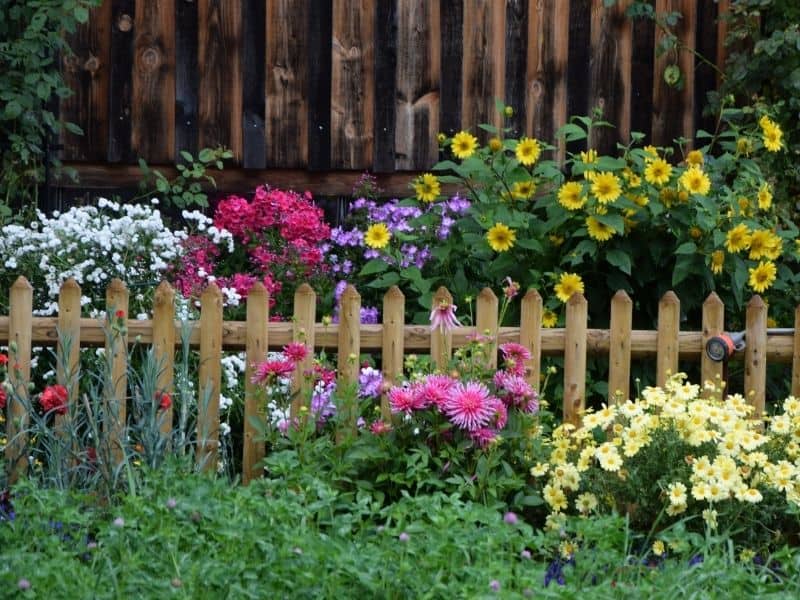 fenced in flower garden