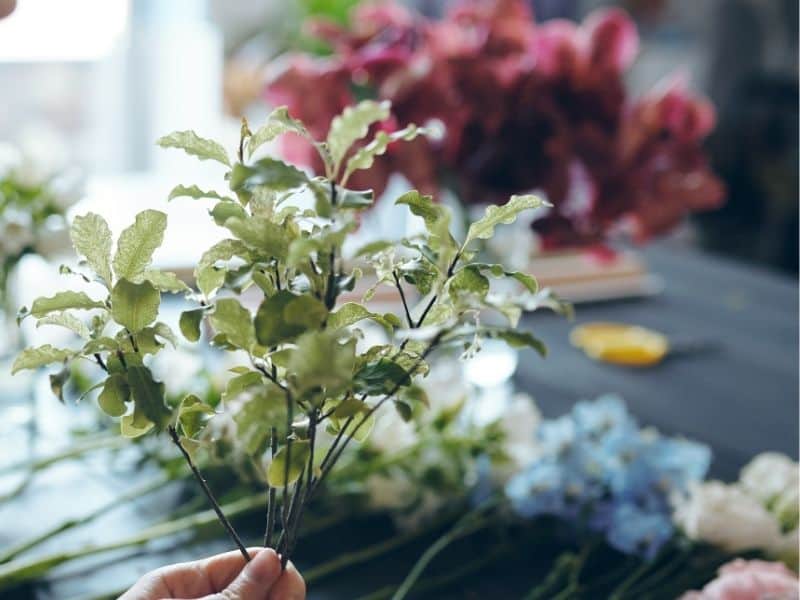 greenery for flower bouquets