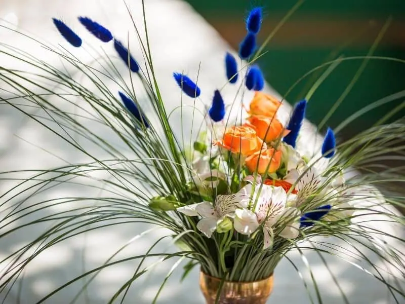 flower bouquet with long green spiky leaves and dark blue poofy blooms