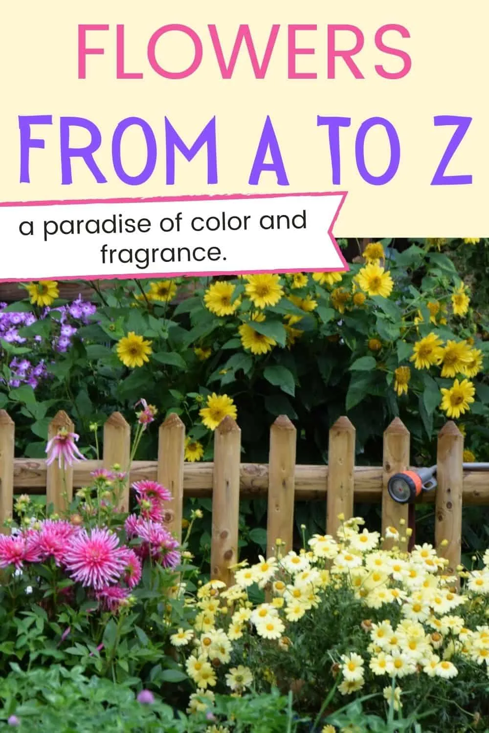Flowers from A to Z - a paradise of color and fragrance
